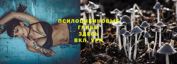 гидропоника Карпинск