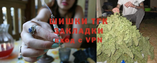 гидропоника Карпинск